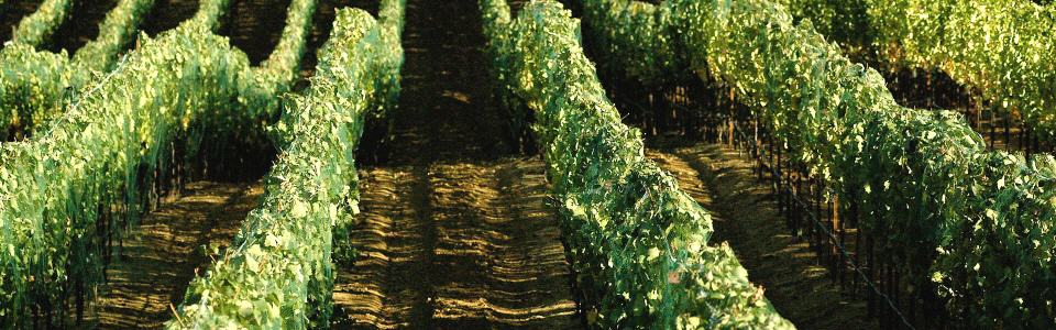 turismo rural la rioja